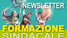 Newsletter Formazione Sindacale - 8 novembre 2021